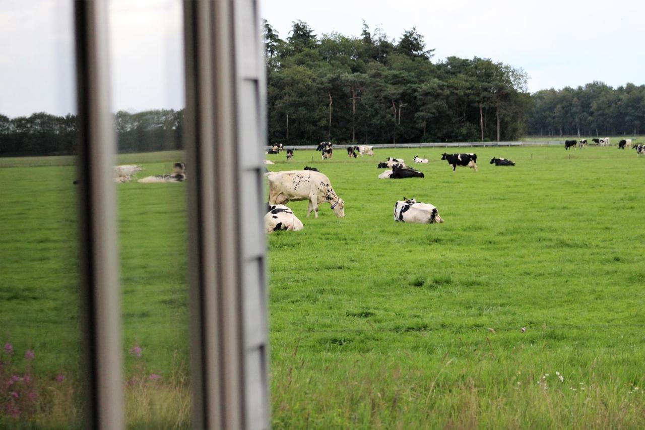 Panorama Box Op Camping De Stal Drijber Exterior foto